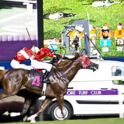Singapore Turf Club illegal horse betting