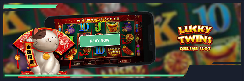 Lucky Twins: Slot game by Microgaming