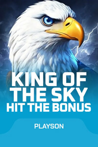 King of the Sky: Hit the Bonus