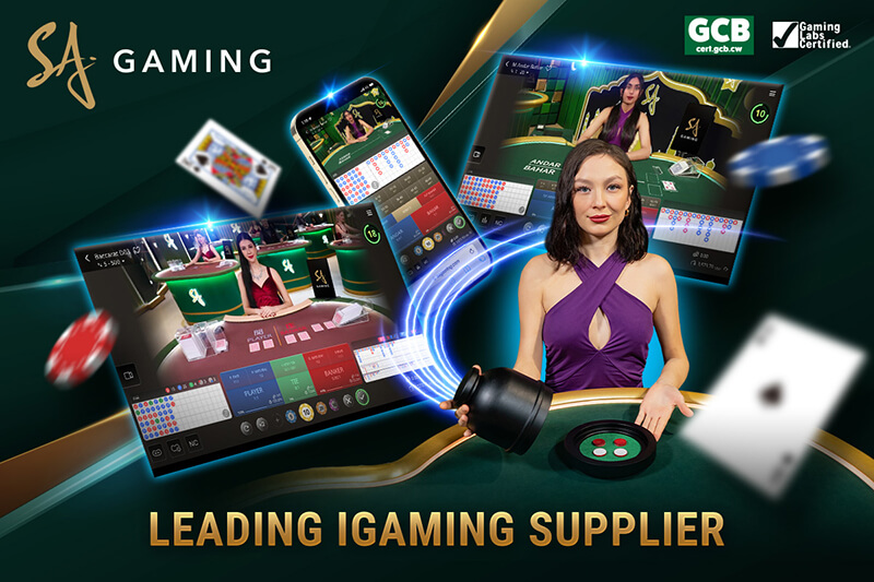 پلتفرم کازینو آنلاین اس ای گیمینگ تمامی نیازهای سرمایه گذاران این حوزه را در نظر گرفته است.